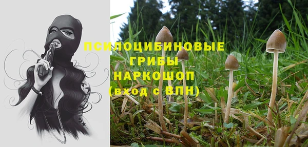 ECSTASY Абинск