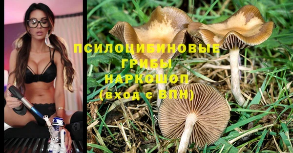 a pvp Абдулино